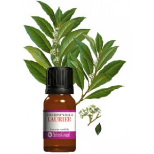 huiles essentielles aphte, huiles essentielles aphtes, huile essentielle aphte, huile essentielle aphtes